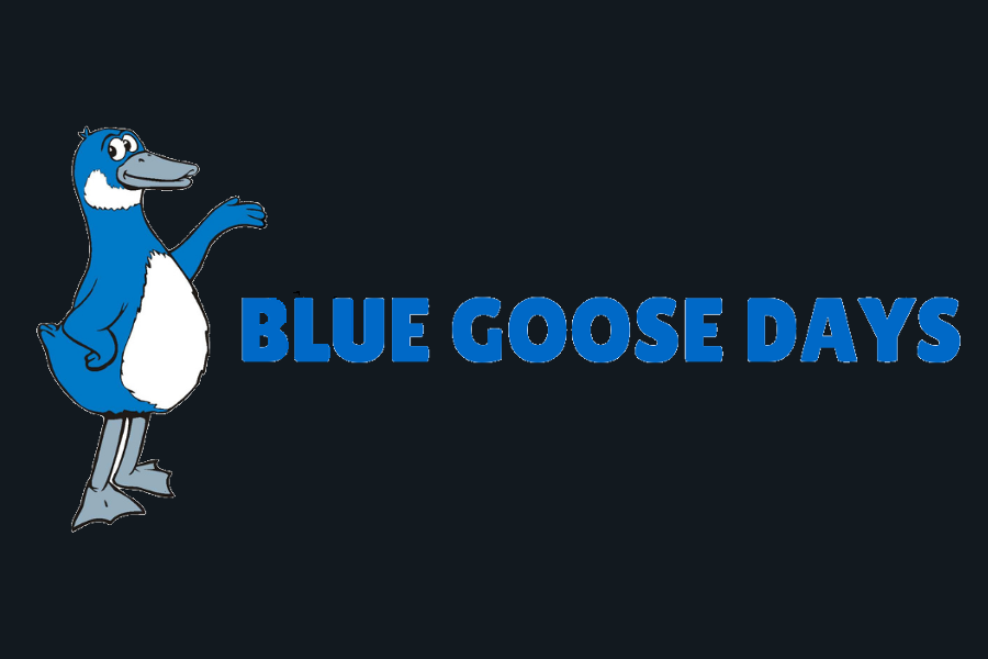 bluegoosetile